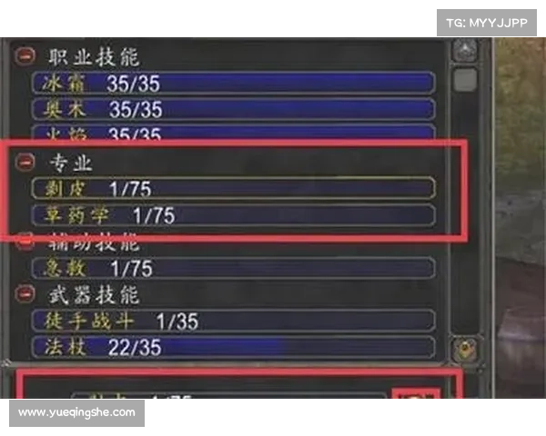 魔兽世界怀旧服骑士：技能打怪，成就无敌